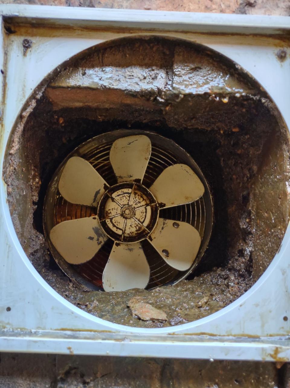 Extractor Fan Cleaning Halifax